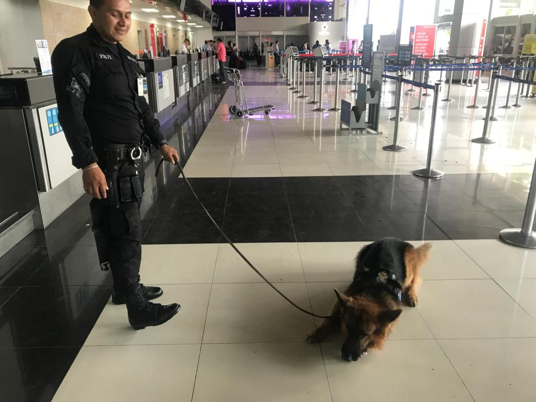 c0aebfd7-a6e4-4e4c-a166-d7cca3f7b3a5