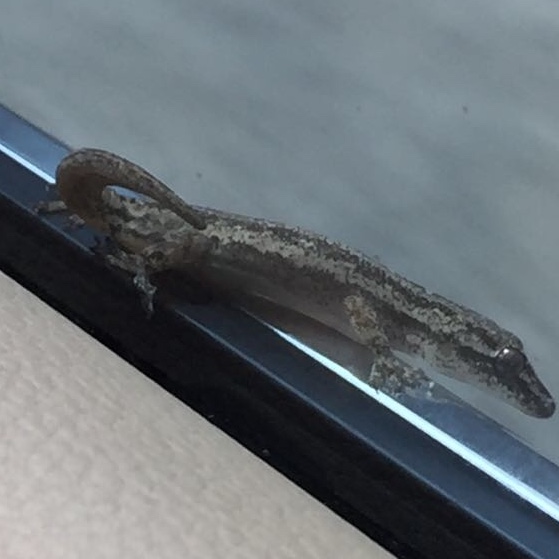 fdc86f35-6880-4f74-b5b2-126d6523f4e8