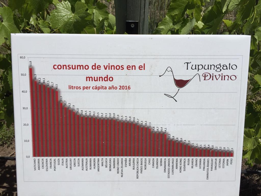 ae8e8702-476f-4107-ad4b-fce8cf9f2fc4